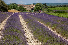 42 Saint Saturnin les Apt, France